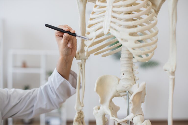 How to Memorize All the Bones in the Body: Ultimate Memory Guide